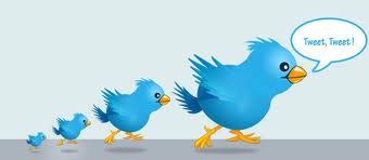 Twitter Twitter