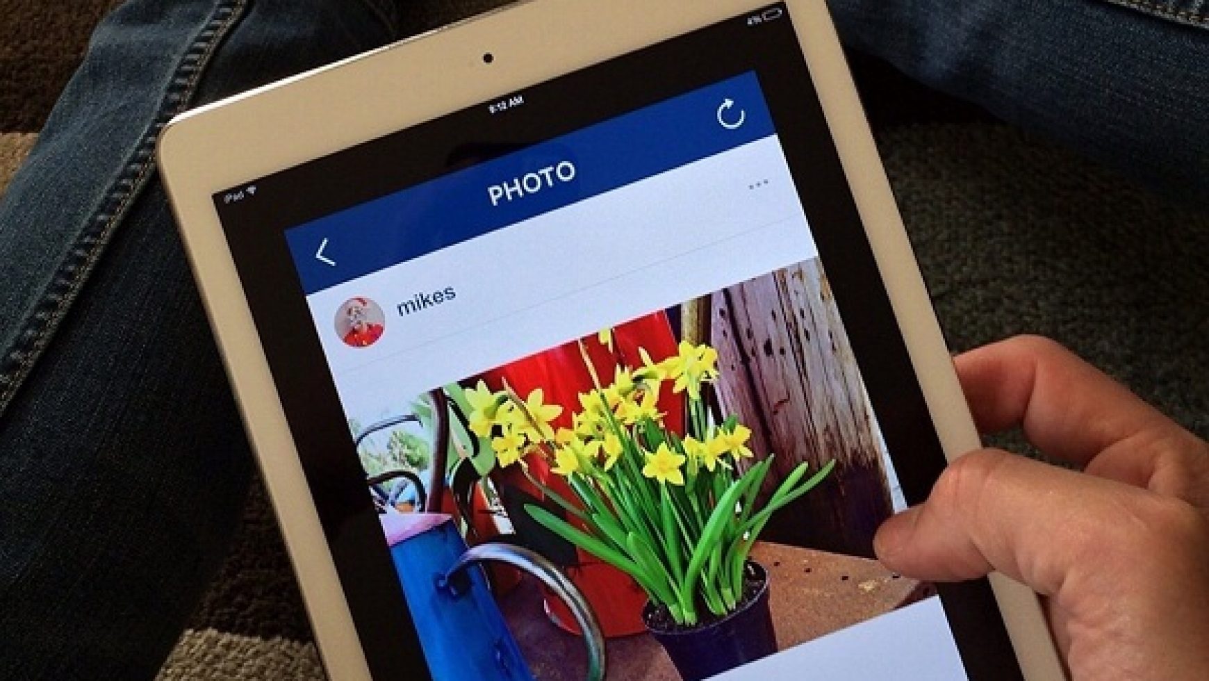 Instagram para negocios: conviértete en experto en marketing visual